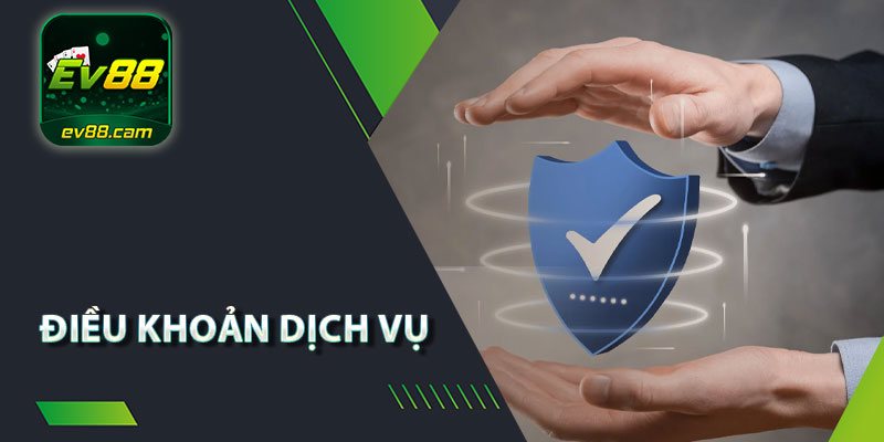 Điều Khoản Dịch Vụ