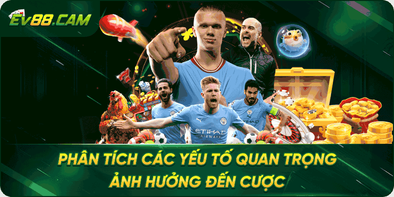 Phân tích các yếu tố quan trọng ảnh hưởng đến cược